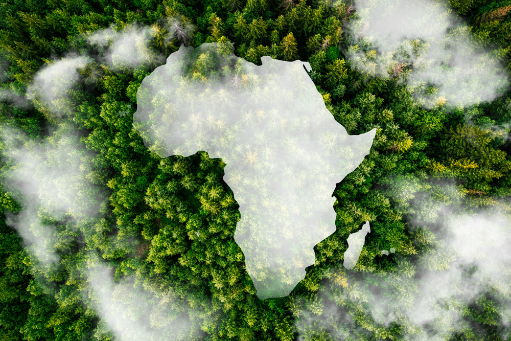 Nedbank offer to acquire c66% of NCBA Group